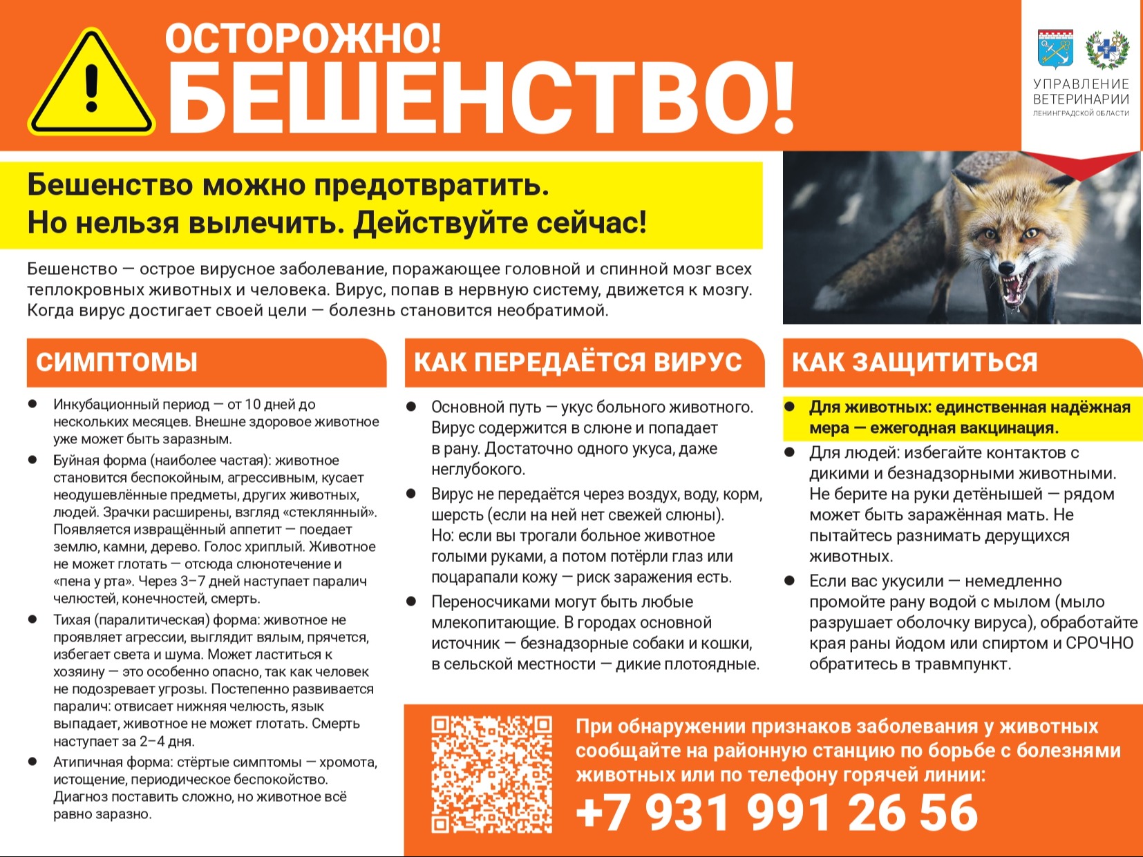 Осторожно бешенство!.