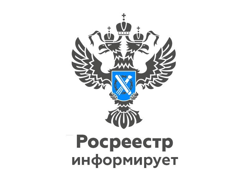 Проведение «Горячей линии».
