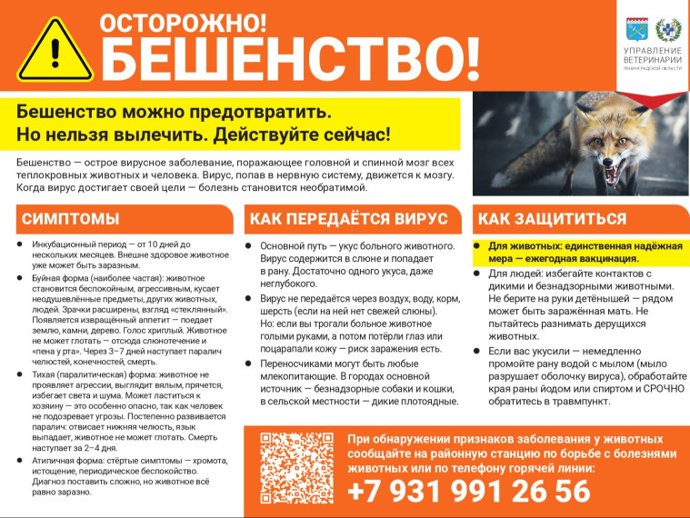 Осторожно бешенство!.